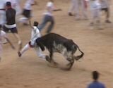 ebigoe - destinations - run the bulls in pamplona spain - festival of san fermin